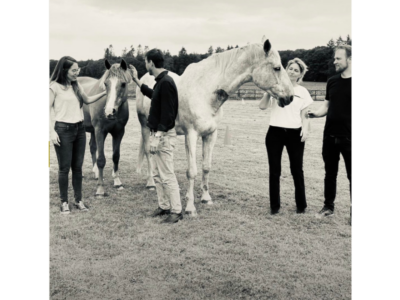 Paardencoaching Be The Fittest: Een unieke aanpak voor leiderschapsontwikkeling in Nederland