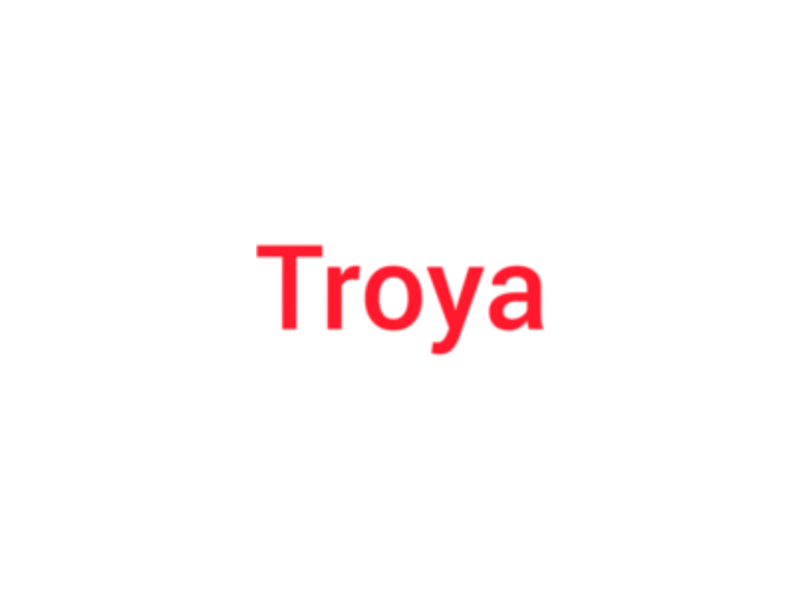 Troya Doner: Een culinair pareltje in Purmerend