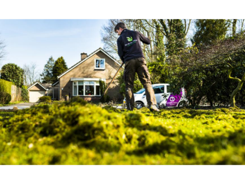 Een Gids naar Natuurlijke Tuinpracht met Onze Ervaren Hovenier