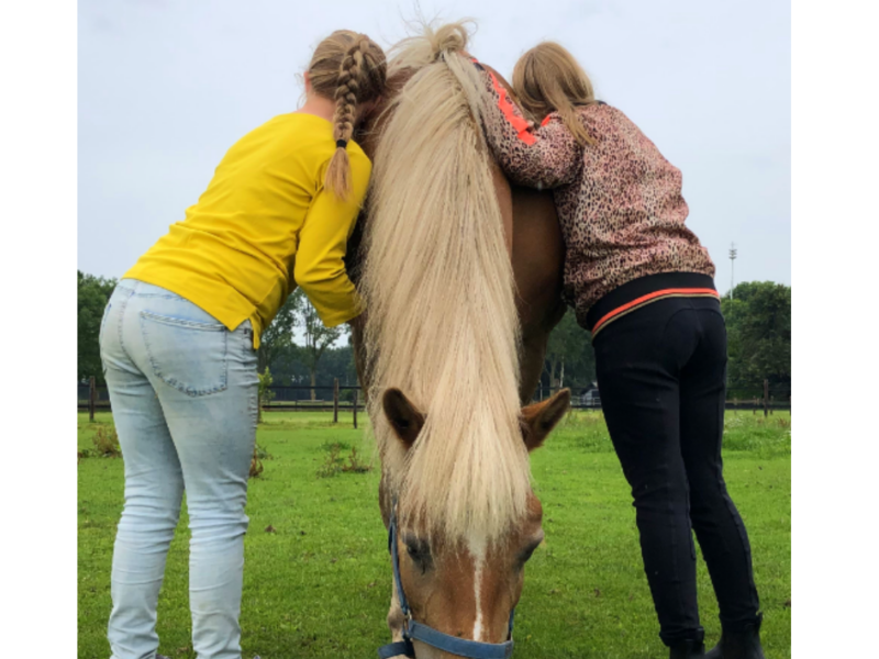 Unieke Dagbesteding in Diffelen: Ontdek Zorgstal Balans