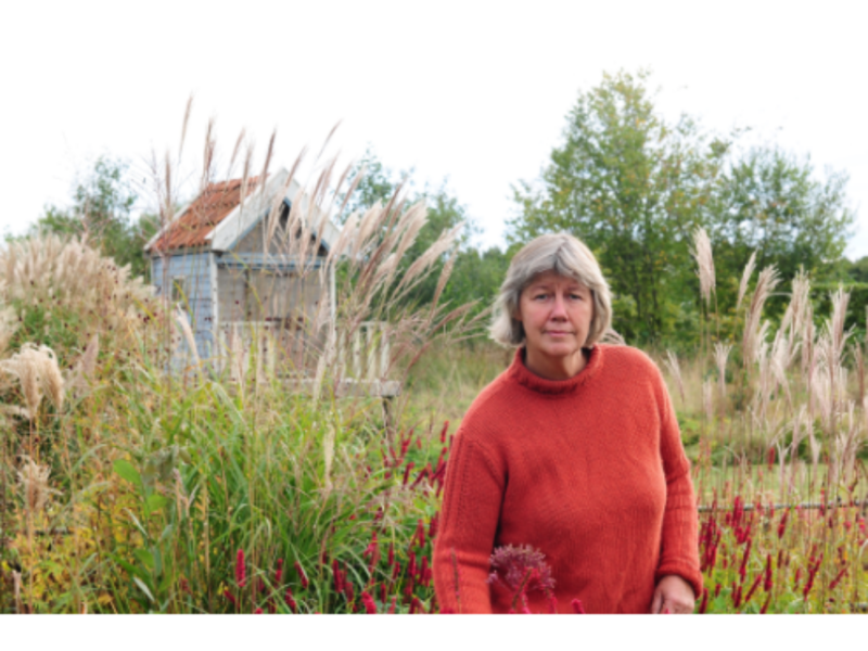 Joukje Schaap Tuinontwerp